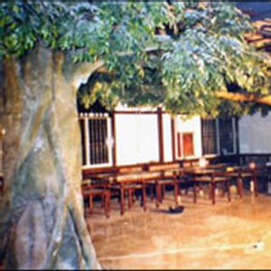 Qin Ma hot pot
