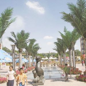 椰子树